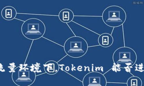 无网络流量环境下，Tokenim 能否进行转账？