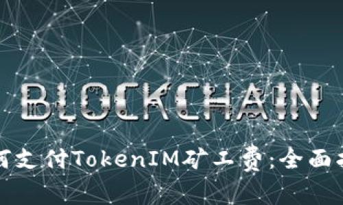 如何支付TokenIM矿工费：全面指南