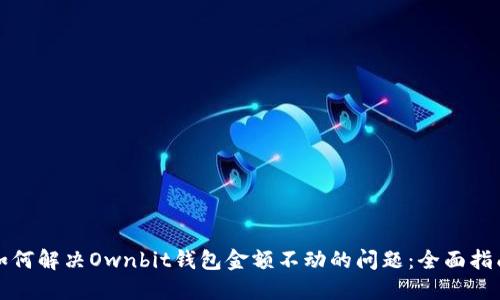 如何解决Ownbit钱包金额不动的问题：全面指南