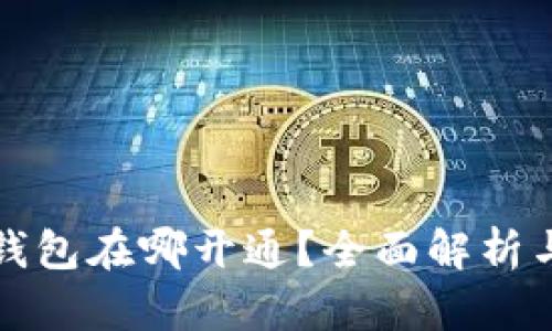 数字钱包在哪开通？全面解析与指南