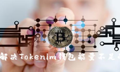 : 如何解决Tokenim钱包能量不足的问题？