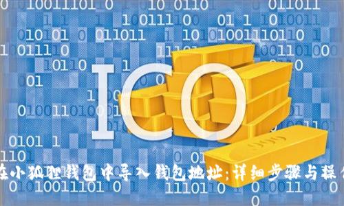 如何在小狐狸钱包中导入钱包地址：详细步骤与操作指南