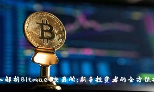 深入解析Bitmaet交易所：新手投资者的全方位指南