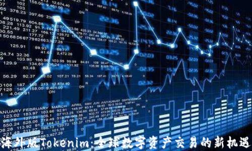 
海外版Tokenim：全球数字资产交易的新机遇