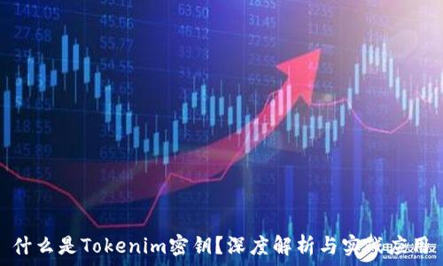   

 什么是Tokenim密钥？深度解析与实战应用 