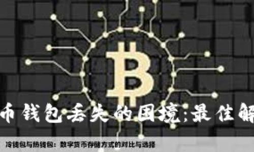 如何有效应对虚拟币钱包丢失的困境：最佳解决方案与预防措施