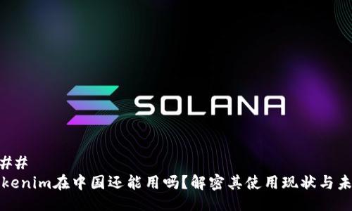 ### 
Tokenim在中国还能用吗？解密其使用现状与未来