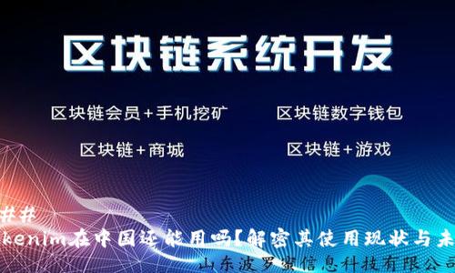 ### 
Tokenim在中国还能用吗？解密其使用现状与未来