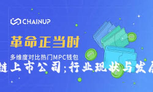 中国区块链上市公司：行业现状与发展前景解析