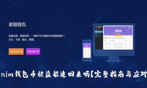 Tokenim钱包币被盗能追回来吗？完整指南与应对策略