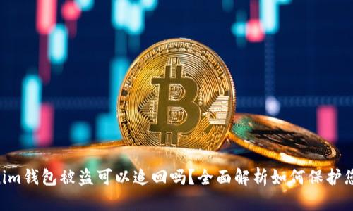 Tokentokenim钱包被盗可以追回吗？全面解析如何保护您的数字资产