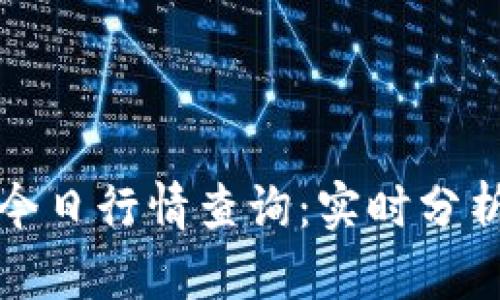 盛源币价格今日行情查询：实时分析与投资建议