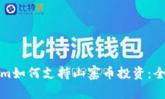 Tokenim如何支持山寨币投资