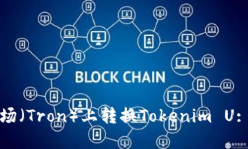 如何在波场（Tron）上转换Tokenim U: 完整指南