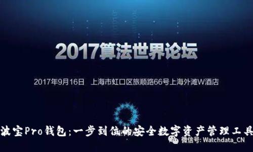 波宝Pro钱包:一步到位的安全数字资产管理工具