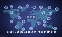 BitPay评测：比特币支付的