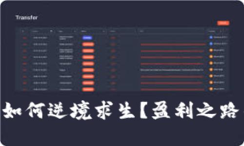 Tokenim项目如何逆境求生？盈利之路的思考与实践