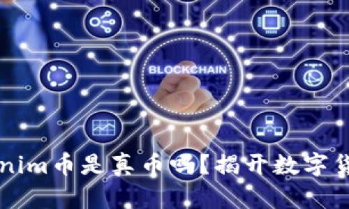 能上Tokenim币是真币吗？揭开数字货币的真相