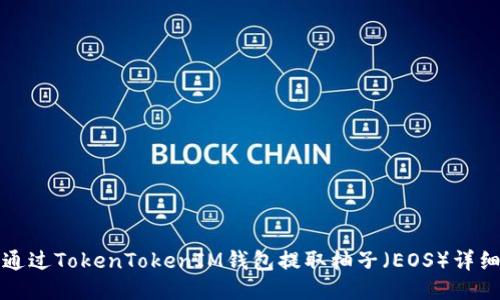 如何通过TokenTokenIM钱包提取柚子(EOS)详细指南